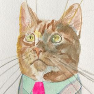 Meet your Posher, Amy